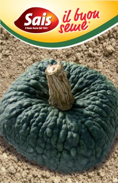 tekvica marina di chiggia